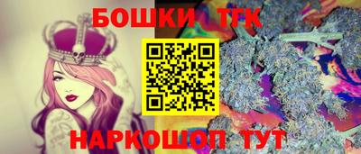 индика Моздок