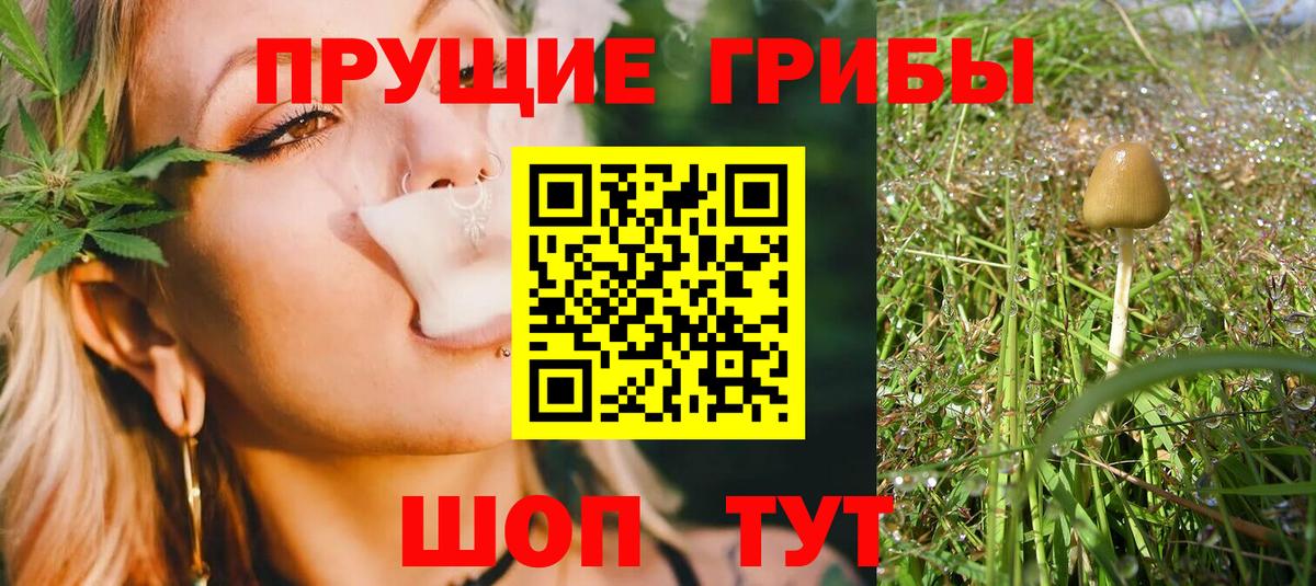 Галлюциногенные грибы GOLDEN TEACHER Джанкой