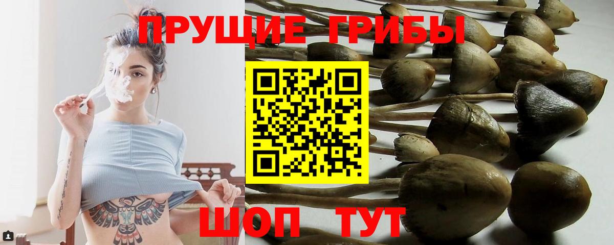 Псилоцибиновые грибы мицелий  Вход с VPN  Джанкой 